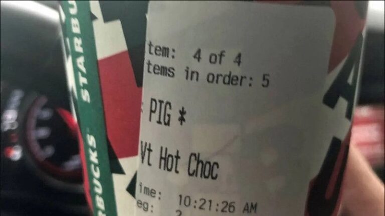 starbucks pig cup