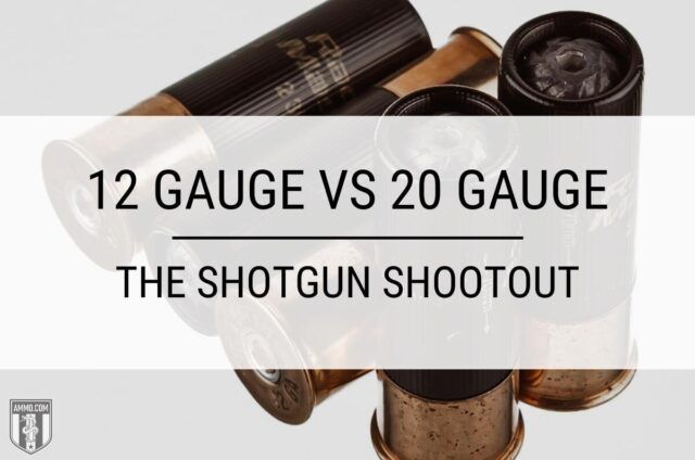 12 Gauge vs 20 Gauge
