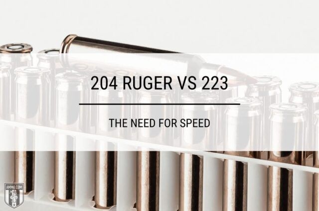 204 Ruger vs 223