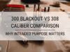 300-blackout-vs-308