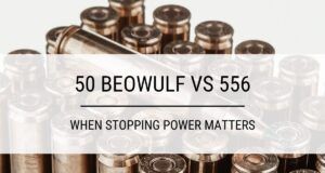 50-beowulf-vs-556