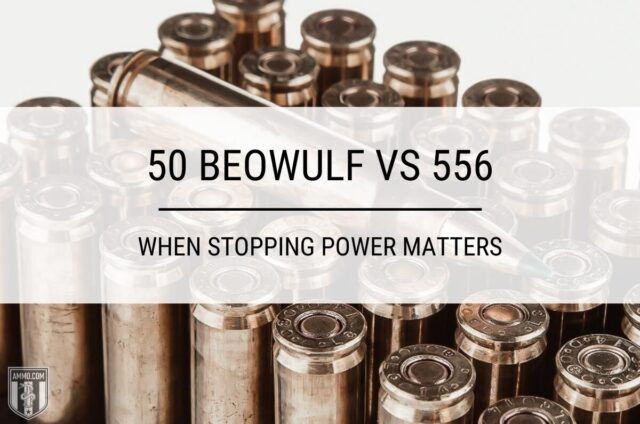50-beowulf-vs-556