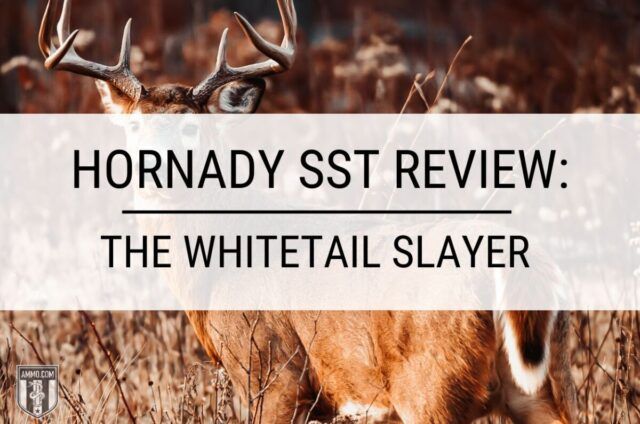 Hornady SST Review